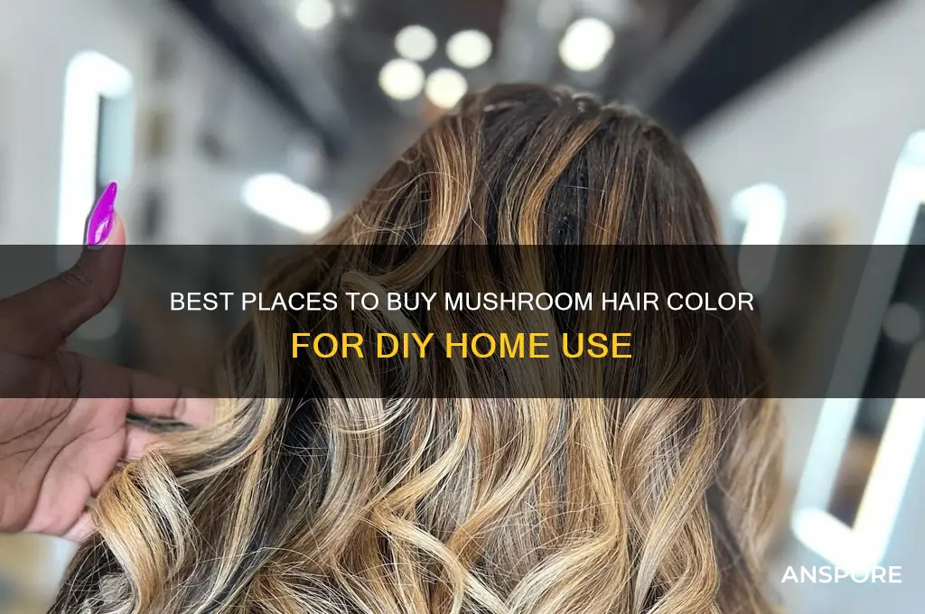 where to buy mushroom hair color to do at home