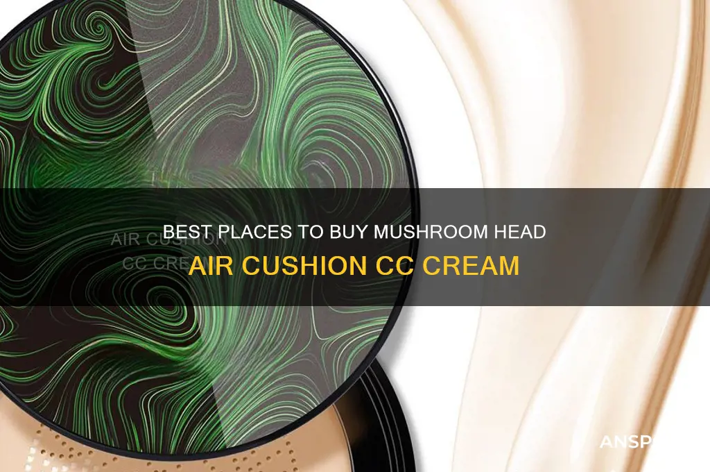 where to buy mushroom head air cushion cc cream