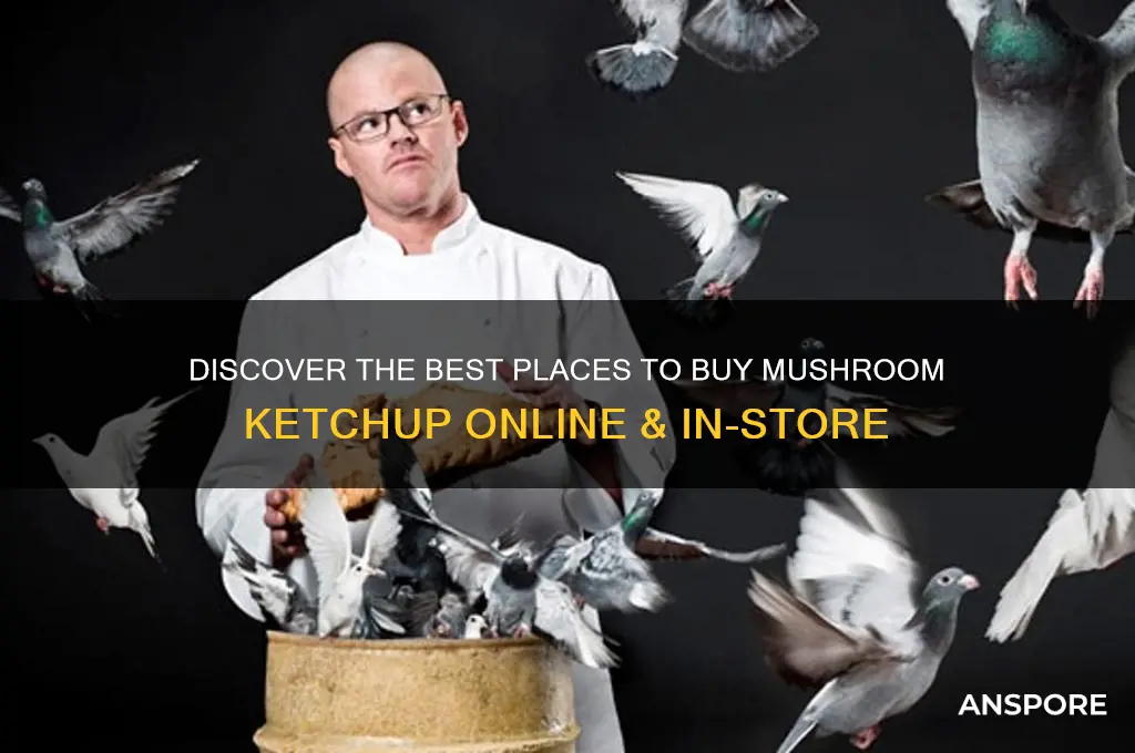 where to buy mushroom ketchup