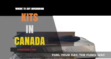 Top Canadian Retailers for Mushroom Grow Kits: A Comprehensive Guide