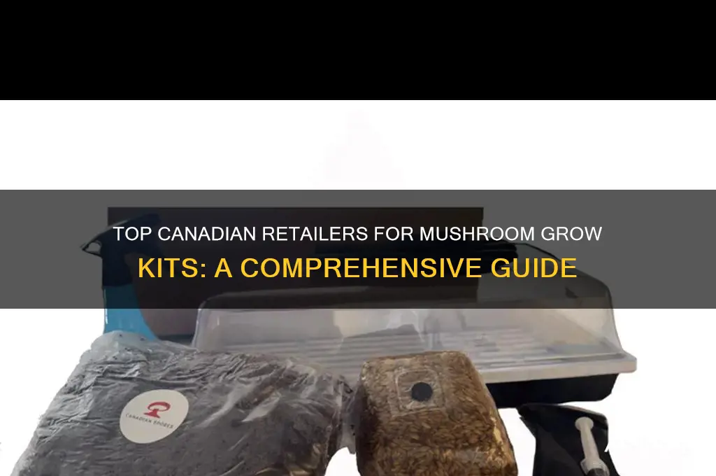 where to buy mushroom kits in canada