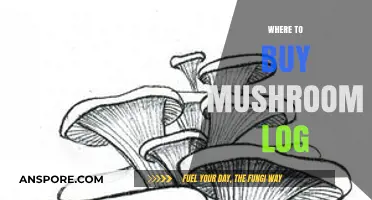 Best Places to Purchase Mushroom Logs for Home Cultivation