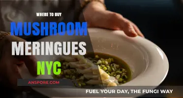 Discover NYC's Best Spots for Mushroom Meringues: A Sweet Guide