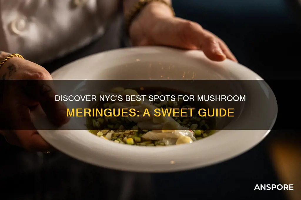 where to buy mushroom meringues nyc