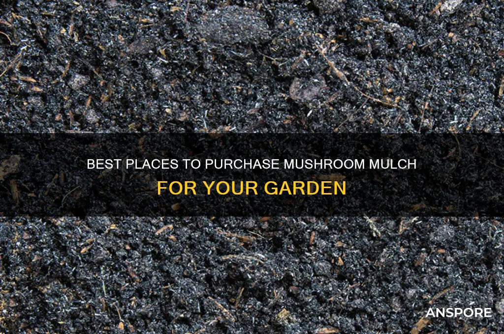 where to buy mushroom mulch