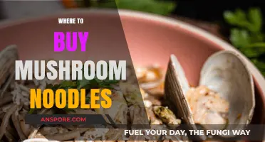 Discover the Best Places to Buy Mushroom Noodles Online & Locally