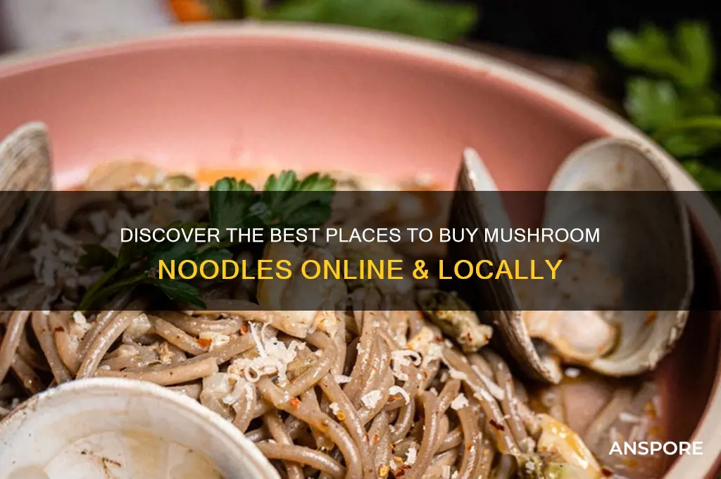 where to buy mushroom noodles