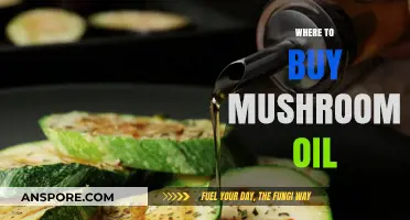 Discover the Best Places to Buy High-Quality Mushroom Oil Online