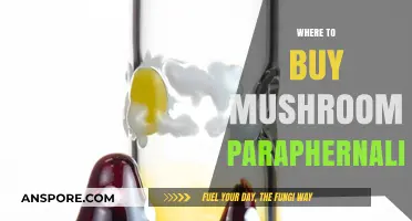 Top Spots to Purchase Mushroom Paraphernalia for Enthusiasts
