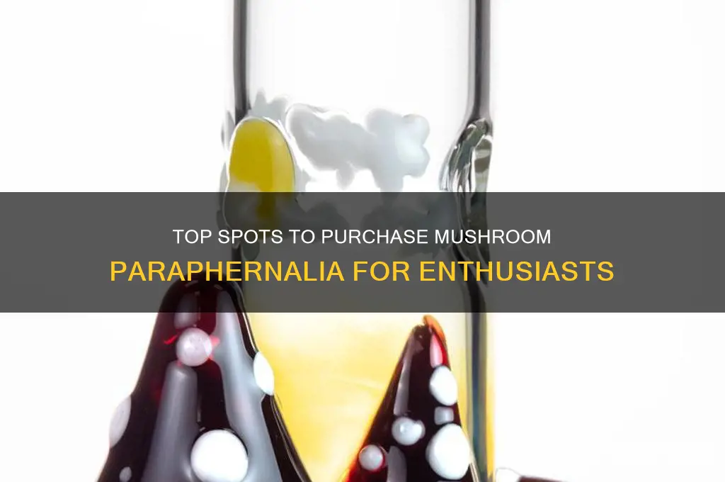 where to buy mushroom paraphernalia