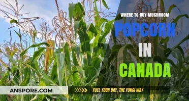 Discover the Best Places to Buy Mushroom Popcorn in Canada