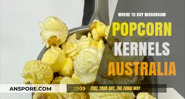 Best Places to Buy Mushroom Popcorn Kernels in Australia