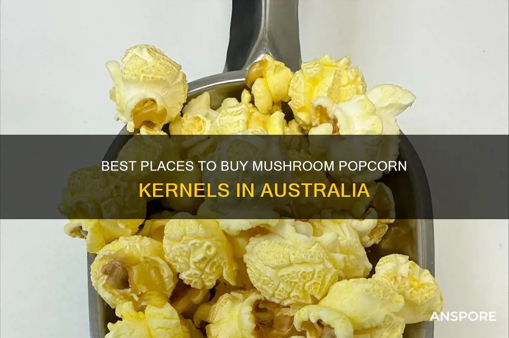 where to buy mushroom popcorn kernels australia
