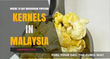 Discover Mushroom Popcorn Kernels: Top Malaysian Retailers & Online Stores