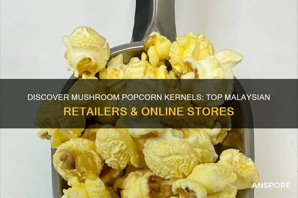 where to buy mushroom popcorn kernels in malaysia