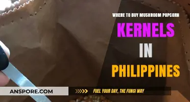 Discover Top Spots to Buy Mushroom Popcorn Kernels in Philippines