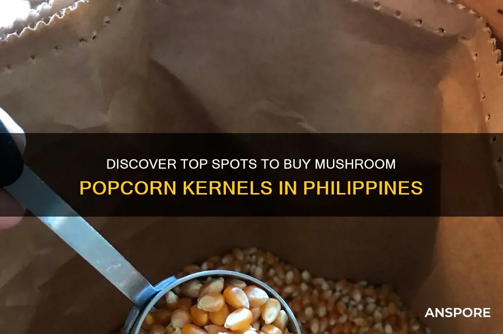 where to buy mushroom popcorn kernels in philippines
