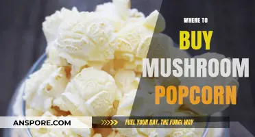 Discover the Best Places to Buy Mushroom Popcorn Online & In-Store