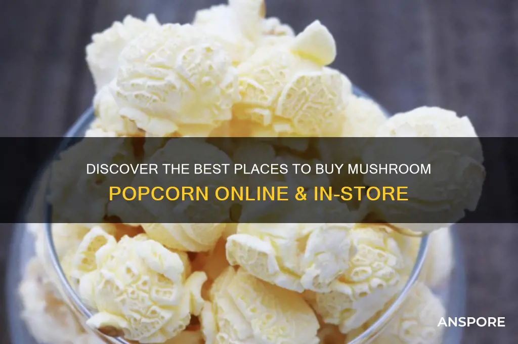 where to buy mushroom popcorn