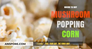 Discover the Best Places to Buy Mushroom Popping Corn Online