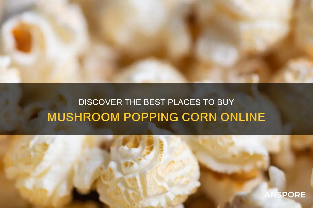where to buy mushroom popping corn