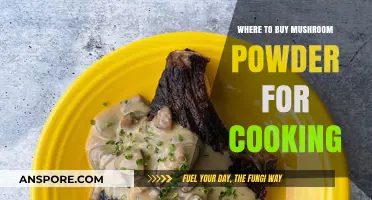 Best Places to Buy Mushroom Powder for Culinary Creations