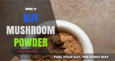Discover the Best Places to Buy Mushroom Powder Online & In-Store