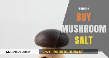 Discover the Best Places to Buy Mushroom Salt Online & In-Store