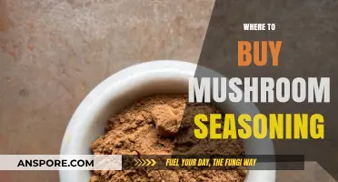Discover the Best Places to Buy Mushroom Seasoning Online & In-Store