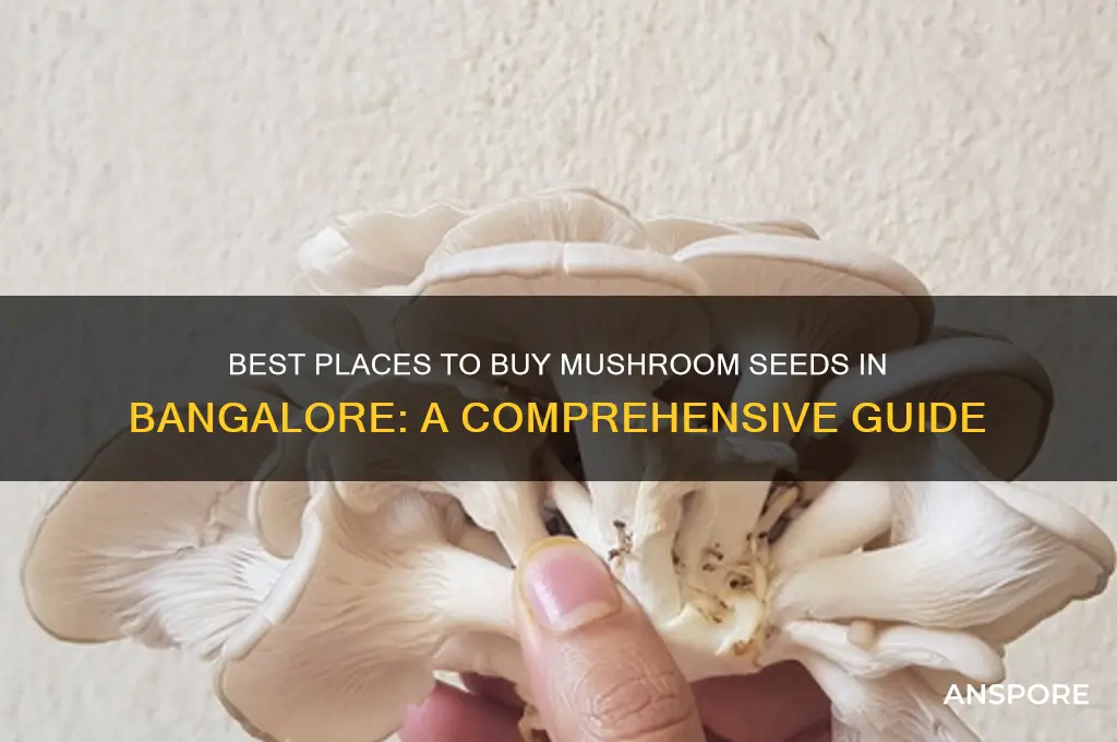 where to buy mushroom seeds in bangalore