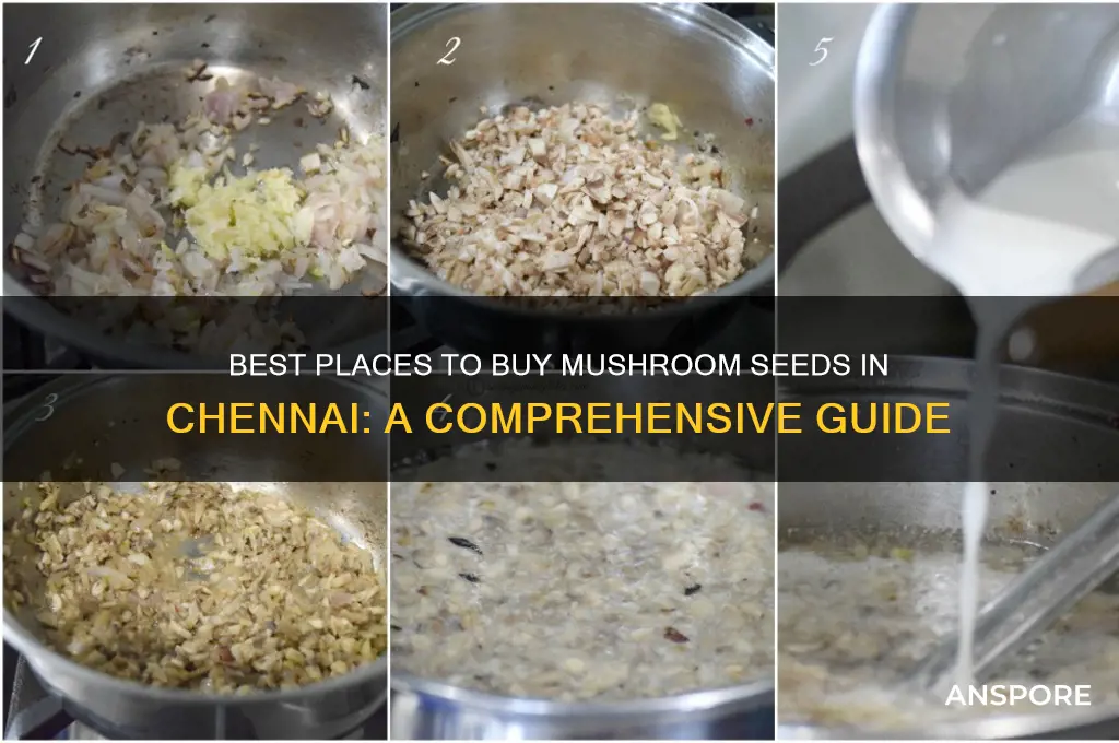 where to buy mushroom seeds in chennai