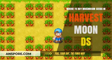 Harvest Moon DS: Best Places to Buy Mushroom Seeds
