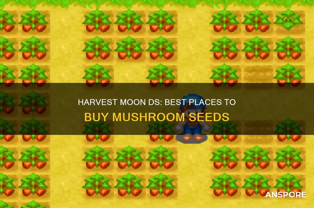 where to buy mushroom seeds in harvest moon ds