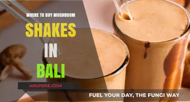 Discover Bali's Best Spots for Mushroom Shakes and Wellness Drinks