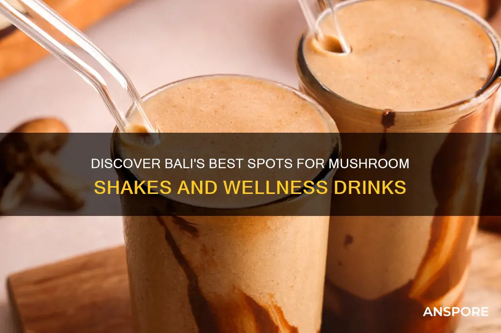 where to buy mushroom shakes in bali