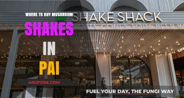 Discover Pai's Best Spots for Delicious Mushroom Shakes and More