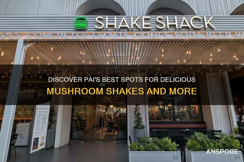 where to buy mushroom shakes in pai