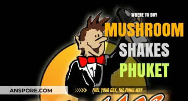 Discover Top Spots to Buy Mushroom Shakes in Phuket