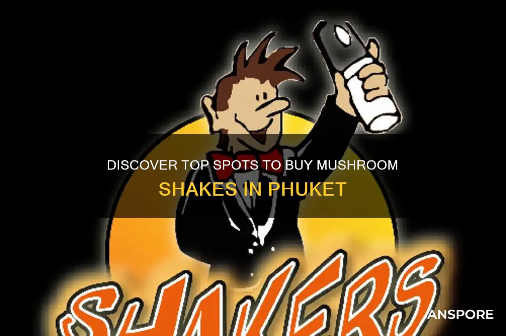 where to buy mushroom shakes phuket