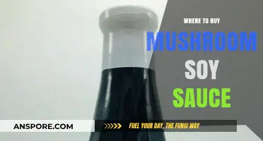 Discover the Best Places to Buy Mushroom Soy Sauce Online & In-Store