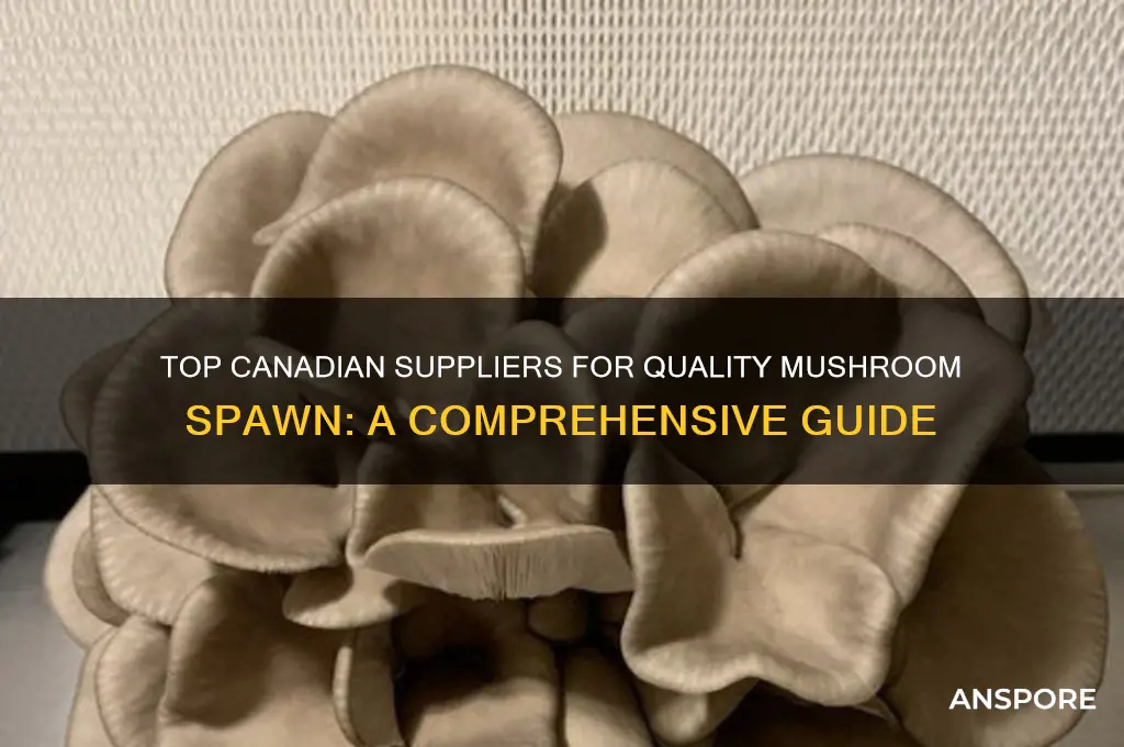 where to buy mushroom spawn in canada