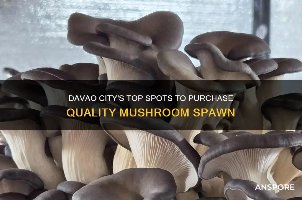 where to buy mushroom spawn in davao city