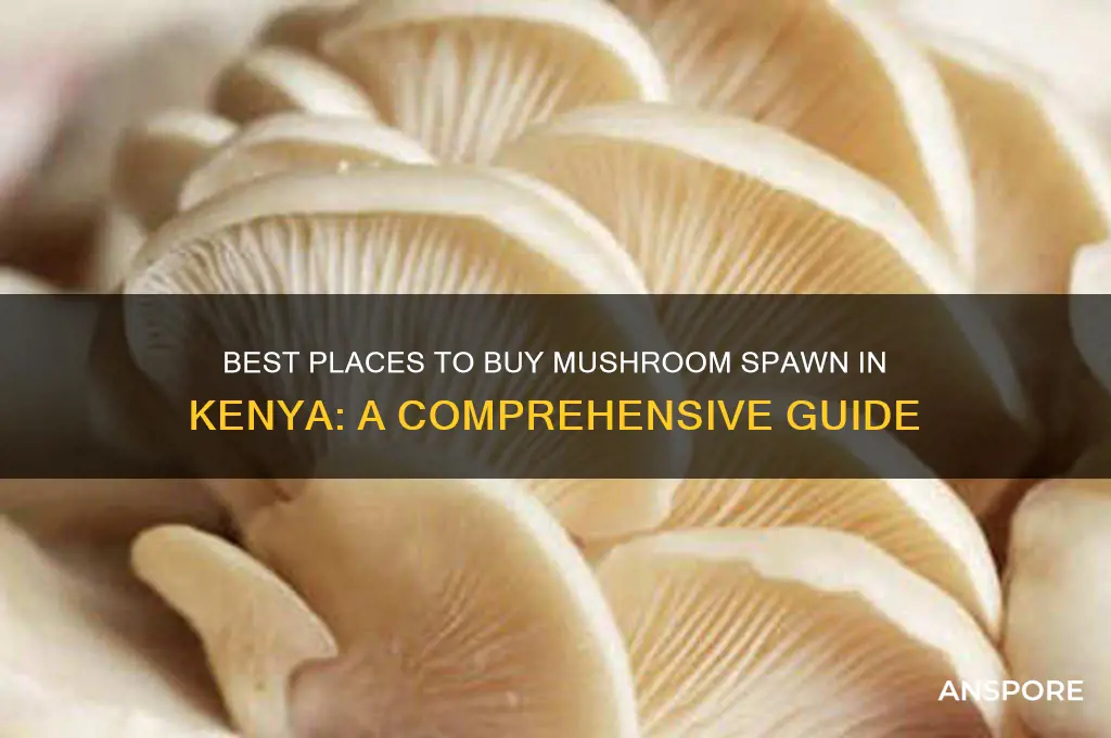 where to buy mushroom spawn in kenya