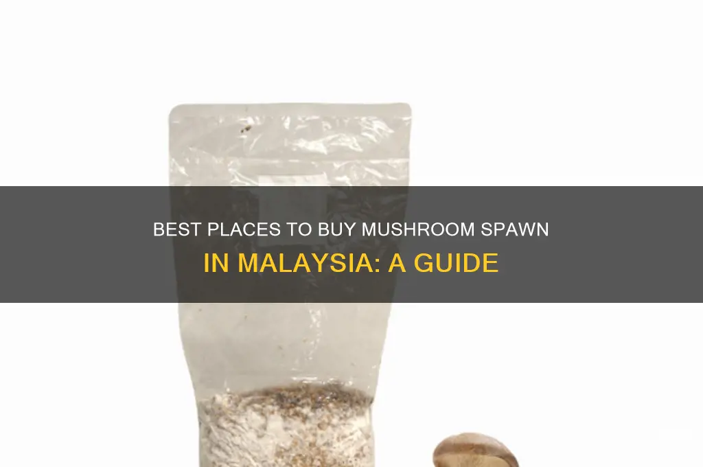 where to buy mushroom spawn in malaysia