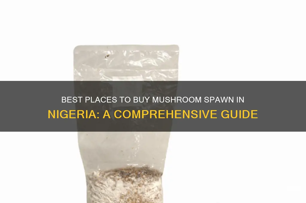 where to buy mushroom spawn in nigeria