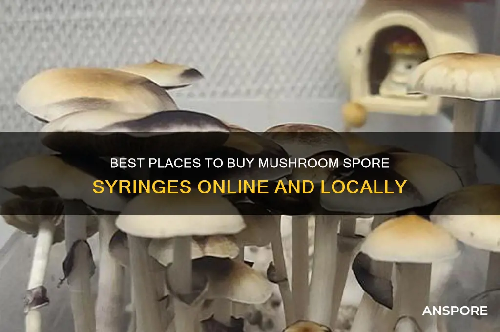 where to buy mushroom spore syringe