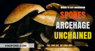 Best Places to Buy Mushroom Spores for ArcheAge Unchained