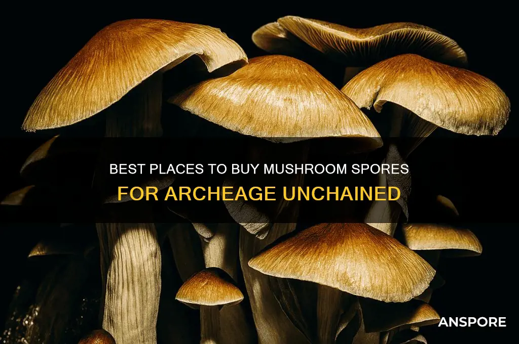 where to buy mushroom spores arcehage unchained