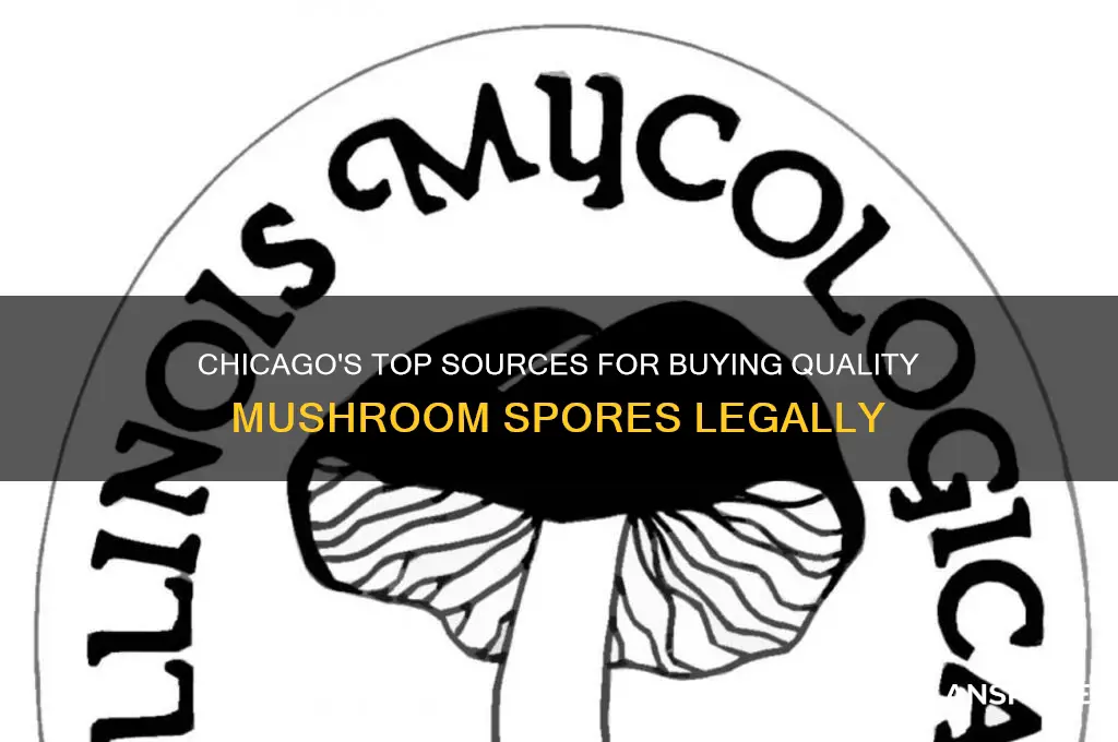 where to buy mushroom spores chicago