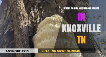 Best Places to Buy Mushroom Spores in Knoxville, TN